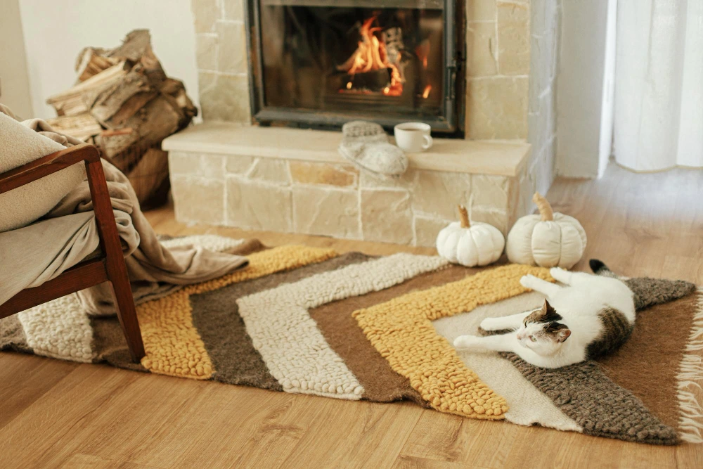 Cozy fireside rug in a living room setting